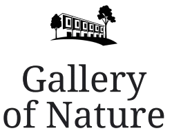 Gallery of Nature